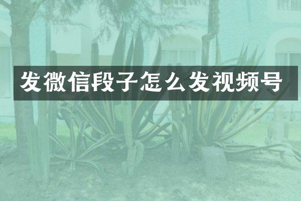 发微信段子怎么发视频号