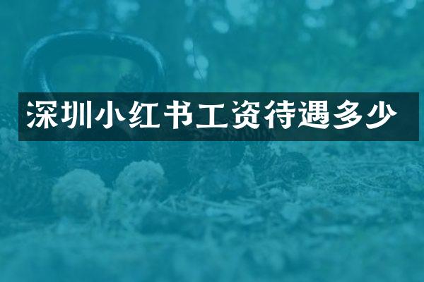 深圳小红书工资待遇多少
