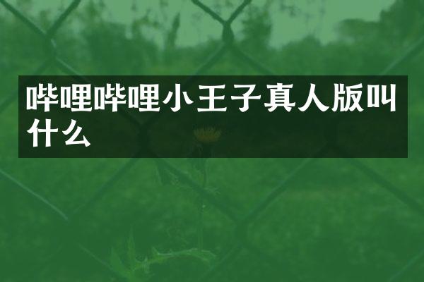 哔哩哔哩小王子真人版叫什么