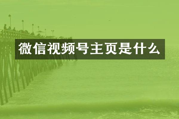 微信视频号主页是什么