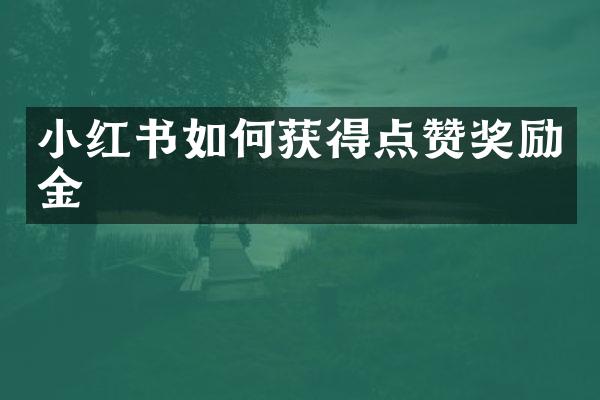 小红书如何获得点赞奖励金