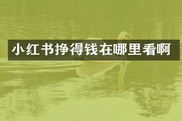 小红书挣得钱在哪里看啊