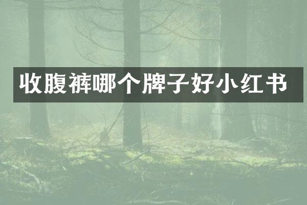 收腹裤哪个牌子好小红书