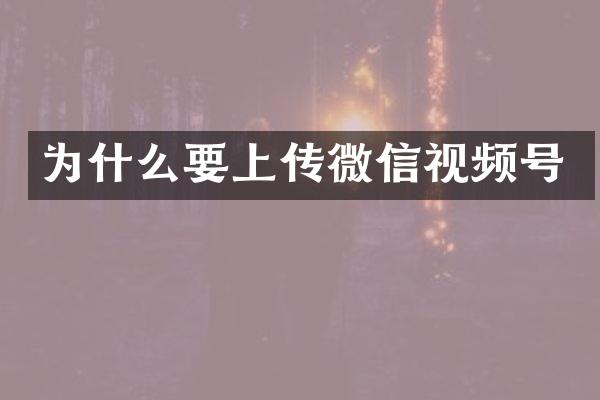 为什么要上传微信视频号