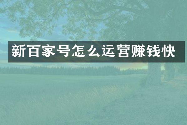 新百家号怎么运营赚钱快