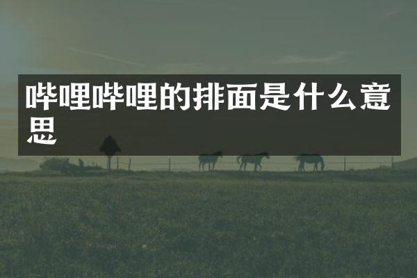 哔哩哔哩的排面是什么意思