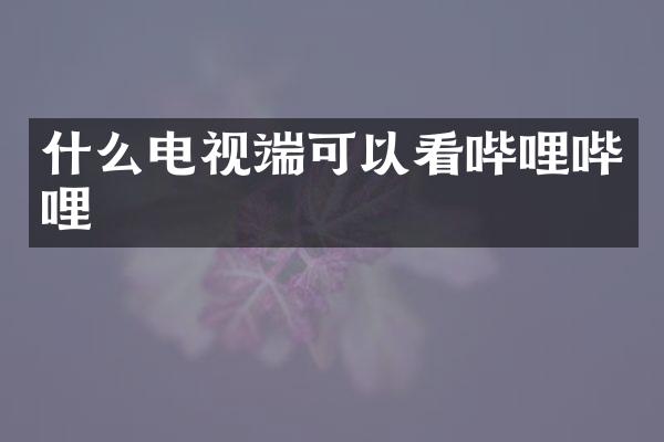 什么电视端可以看哔哩哔哩