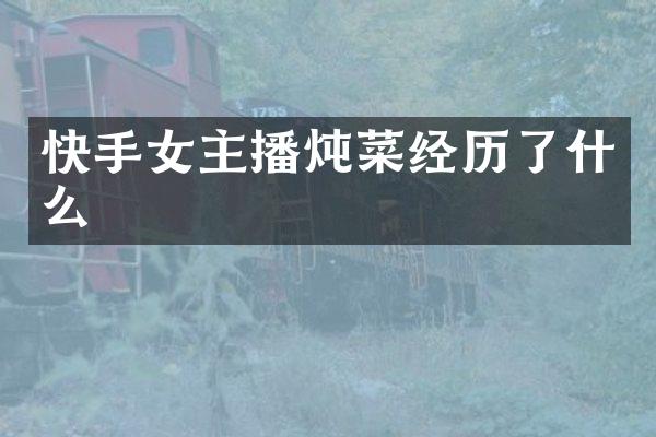 快手女主播炖菜经历了什么