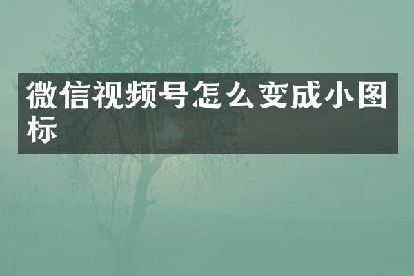 微信视频号怎么变成小图标