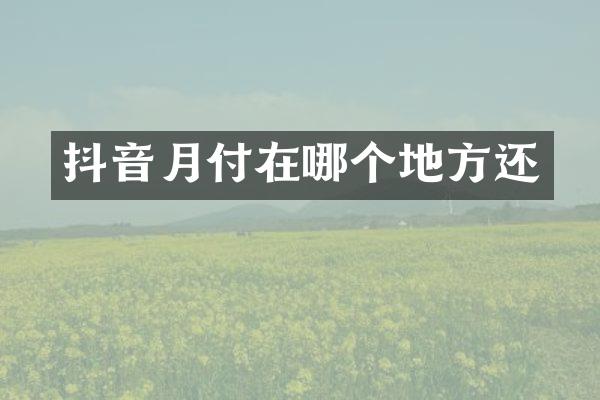抖音月付在哪个地方还