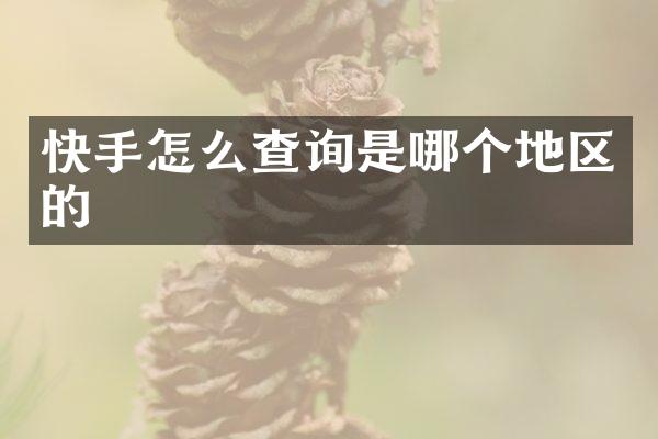 快手怎么查询是哪个地区的