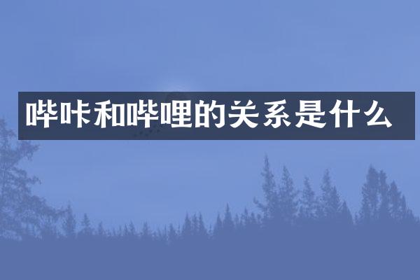哔咔和哔哩的关系是什么