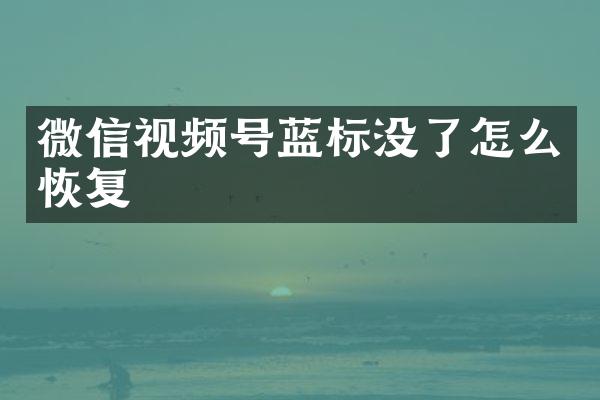 微信视频号蓝标没了怎么恢复