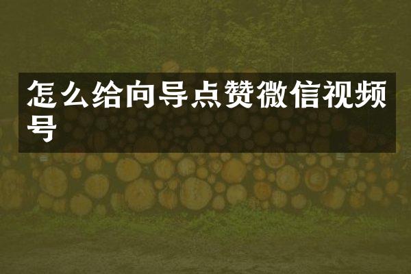 怎么给向导点赞微信视频号