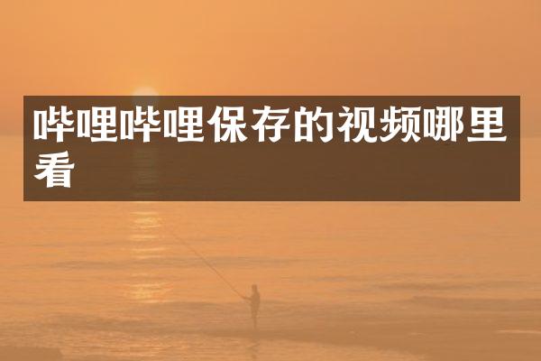 哔哩哔哩保存的视频哪里看