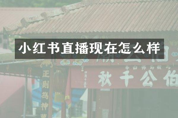 小红书直播现在怎么样