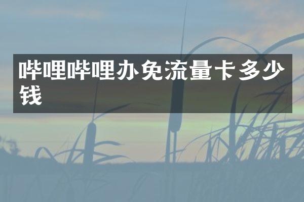 哔哩哔哩办免流量卡多少钱