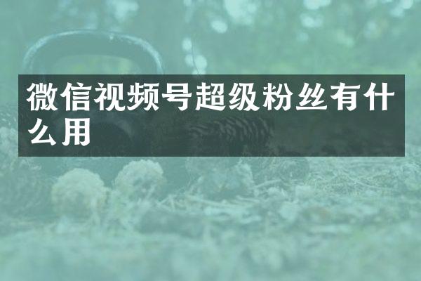 微信视频号超级粉丝有什么用