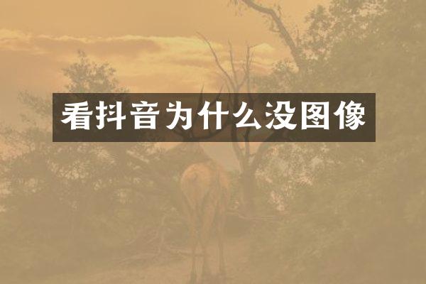 看抖音为什么没图像