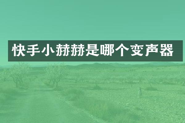 快手小赫赫是哪个变声器