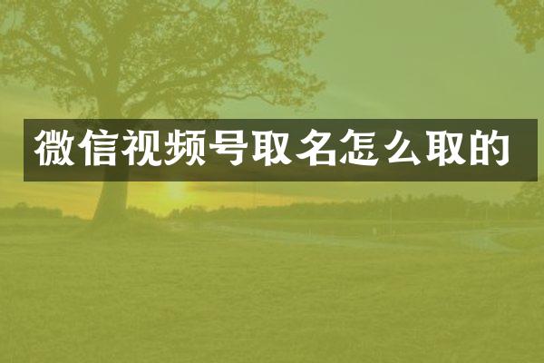 微信视频号取名怎么取的