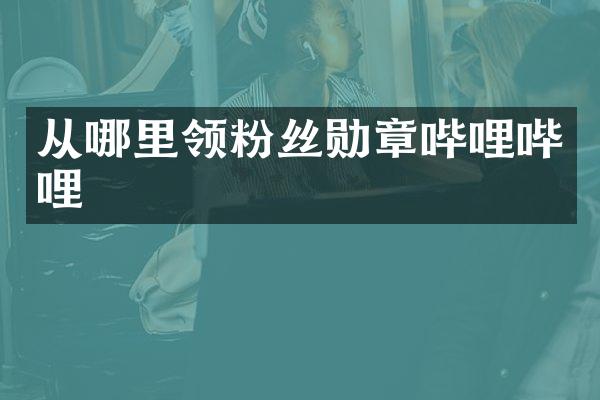 从哪里领粉丝勋章哔哩哔哩