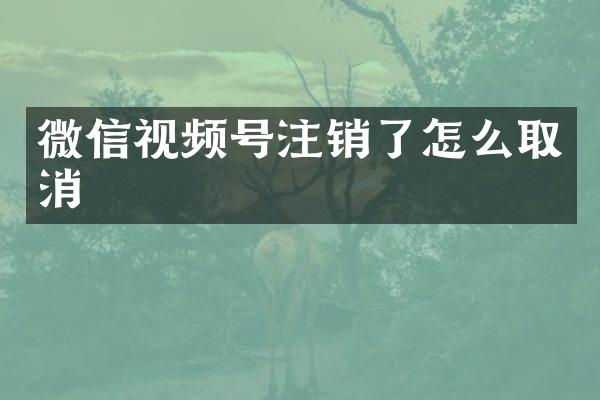 微信视频号注销了怎么取消