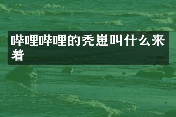 哔哩哔哩的秃崽叫什么来着
