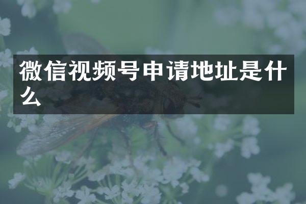 微信视频号申请地址是什么