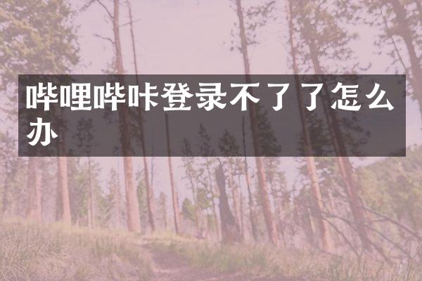 哔哩哔咔登录不了了怎么办