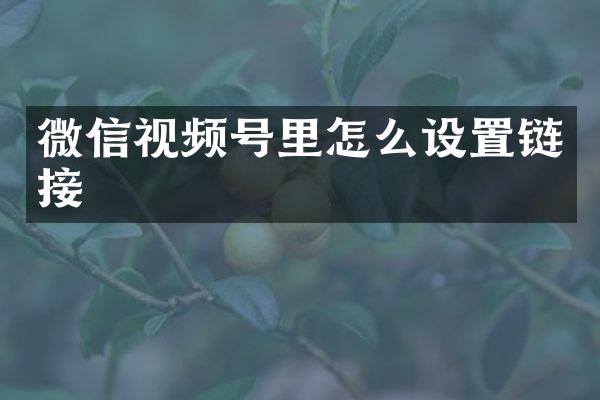 微信视频号里怎么设置链接
