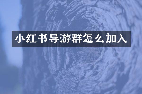 小红书导游群怎么加入