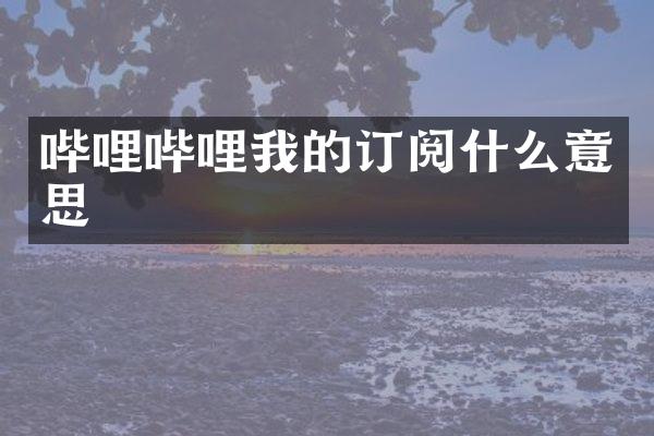 哔哩哔哩我的订阅什么意思