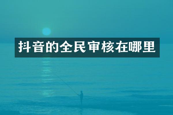 抖音的全民审核在哪里