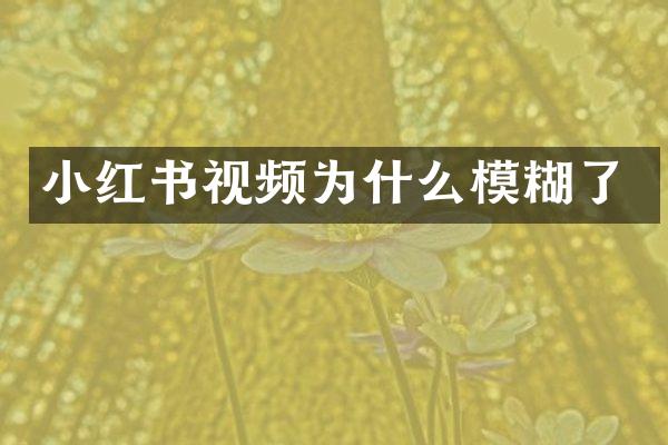小红书视频为什么模糊了