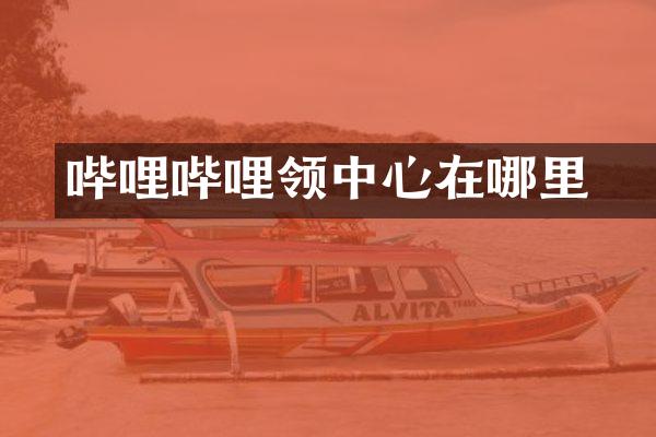 哔哩哔哩领劵中心在哪里