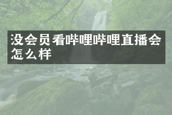 没会员看哔哩哔哩直播会怎么样
