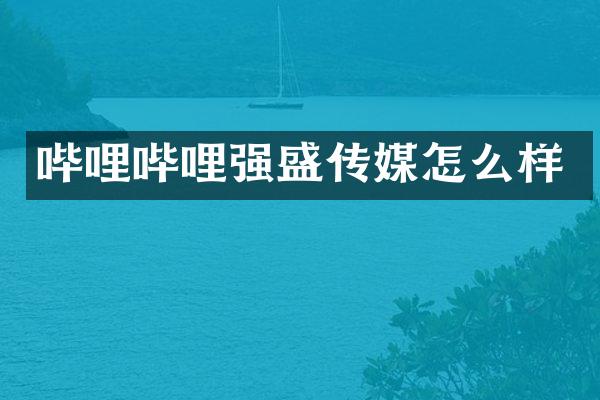 哔哩哔哩强盛传媒怎么样