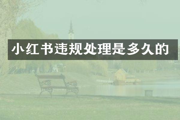 小红书违规处理是多久的