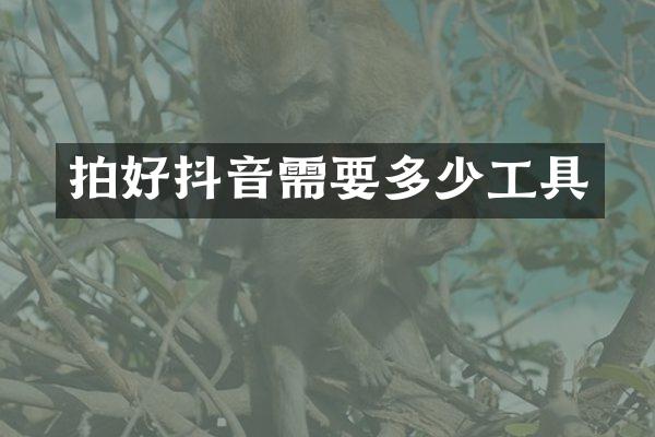 拍好抖音需要多少工具