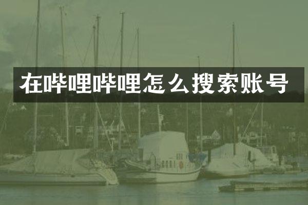 在哔哩哔哩怎么搜索账号