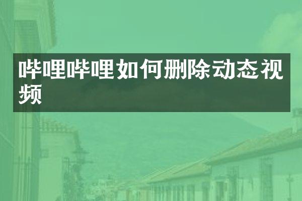 哔哩哔哩如何删除动态视频