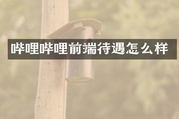 哔哩哔哩前端待遇怎么样
