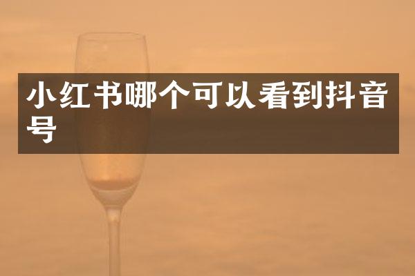 小红书哪个可以看到抖音号
