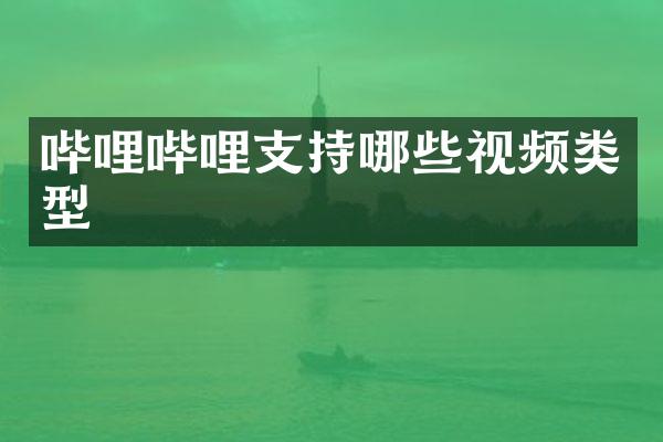哔哩哔哩支持哪些视频类型