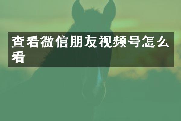 查看微信朋友视频号怎么看