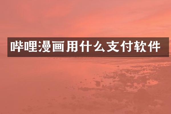 哔哩漫画用什么支付软件