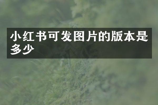 小红书可发图片的版本是多少