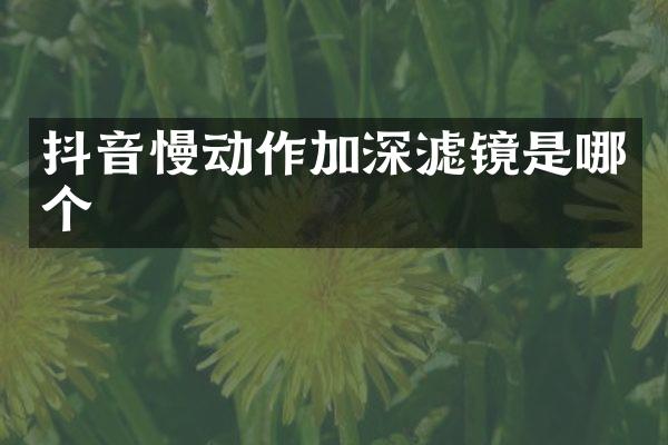 抖音慢动作加深滤镜是哪个