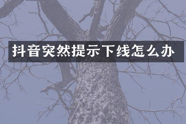 抖音突然提示下线怎么办